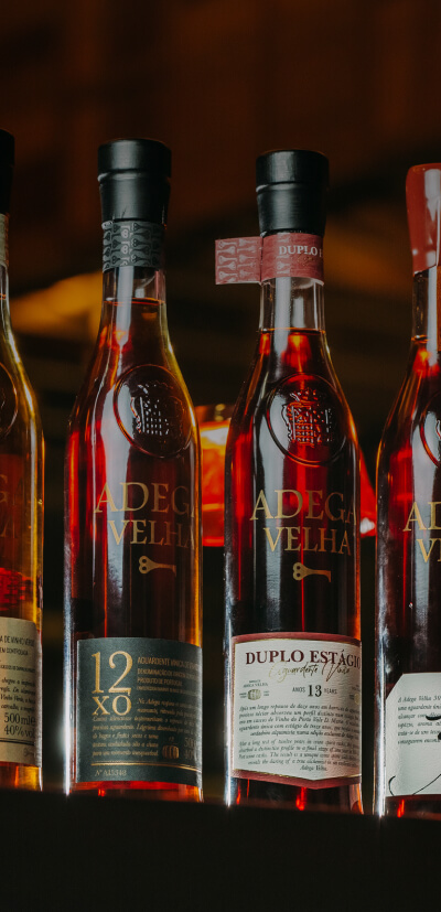Discover all the brandies of Adega Velha